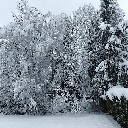 Le Carlton Lejlighed Chamonix Eksteriør billede